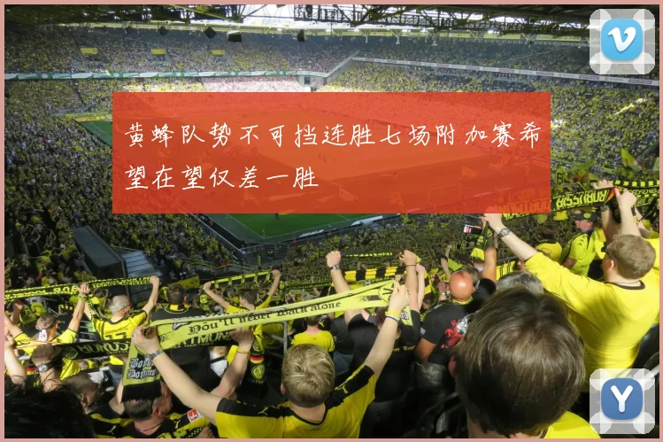 黄蜂队势不可挡连胜七场附加赛希望在望仅差一胜