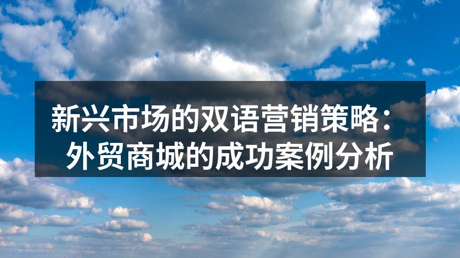 新兴市场的双语营销策略：外贸商城的成功案例分析