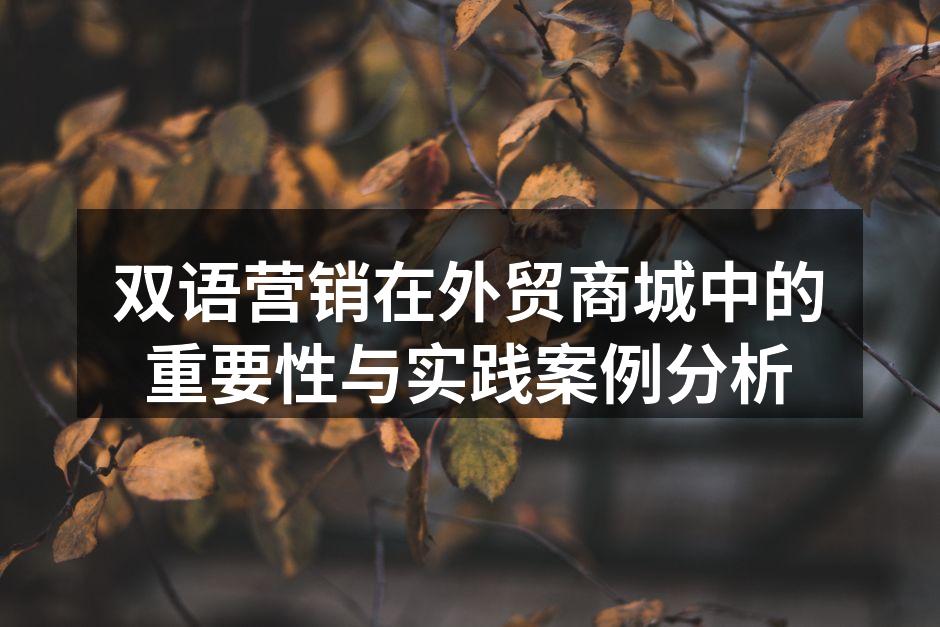 双语营销在外贸商城中的重要性与实践案例分析