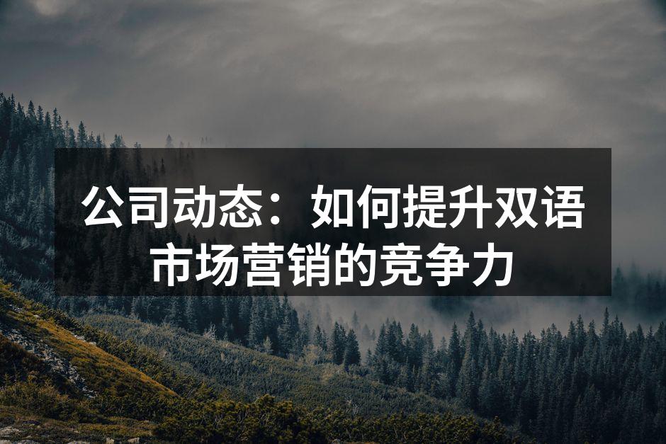 双语市场营销策略示意图