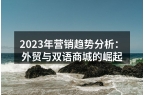 2023年营销趋势分析：外贸与双语商城的