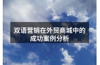 双语营销在外贸商城中的成功案例分析