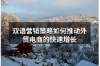 双语营销策略如何推动外贸电商的快速增长