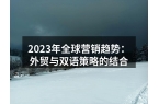2023年全球营销趋势：外贸与双语策略的